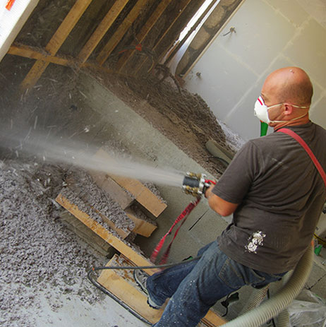 Plaquiste Champenois